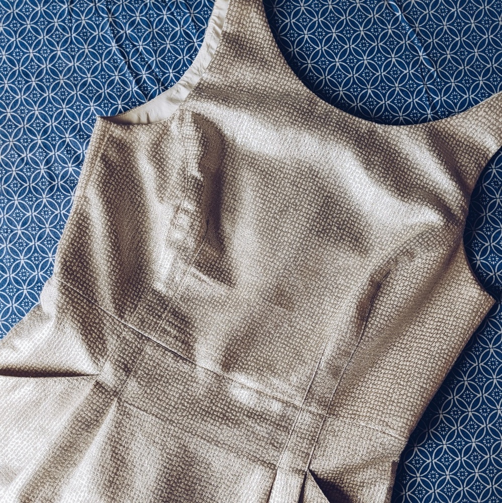 Dalia Silver Cocktail Dress